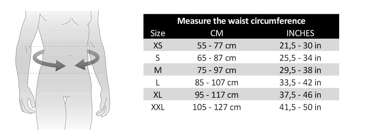 Barbelts Hebegurt - Lila | Fitnessgurt - Bodybuildinggurt