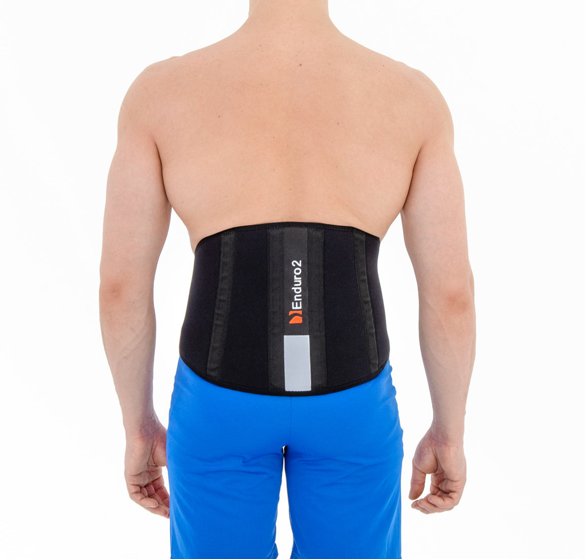 Reh4Sport Enduro02 Niergurt / Rückenstütze mit Stäben