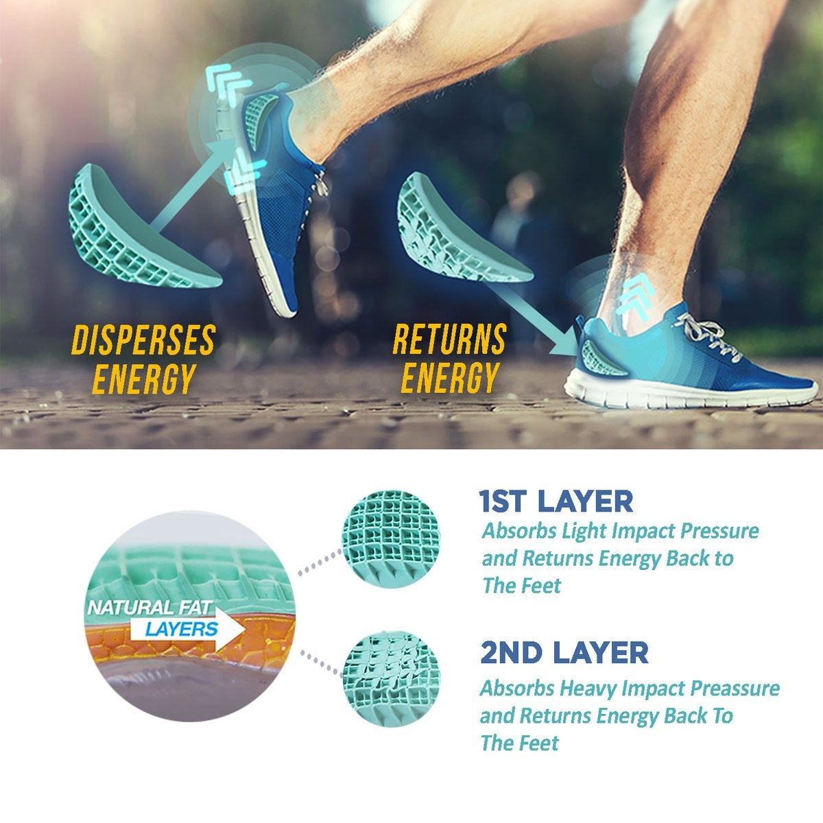 Tulis robuste Fersensporn-Fersenschalen