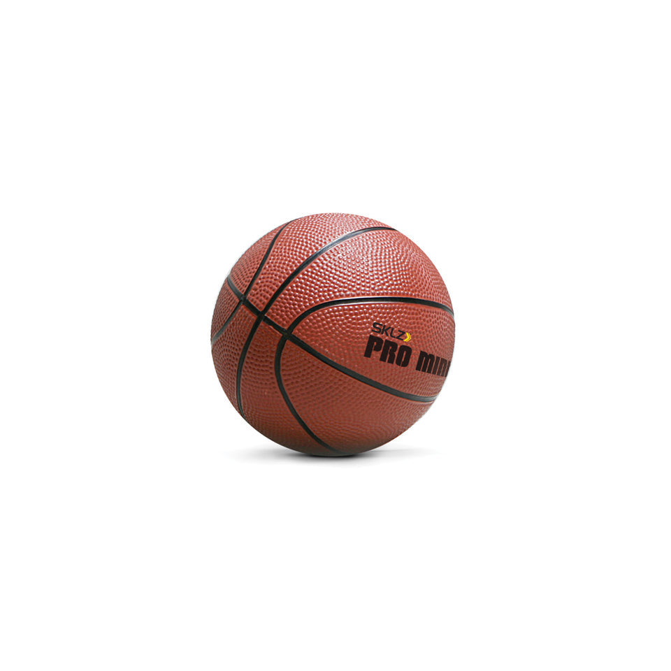 SKLZ PRO MINI KORB XL